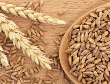 Η αρχαία ελληνική διατροφή και το μυστικό συστατικό της η Ζέα – Όλες οι χρήσεις και οι ιδιότητές της